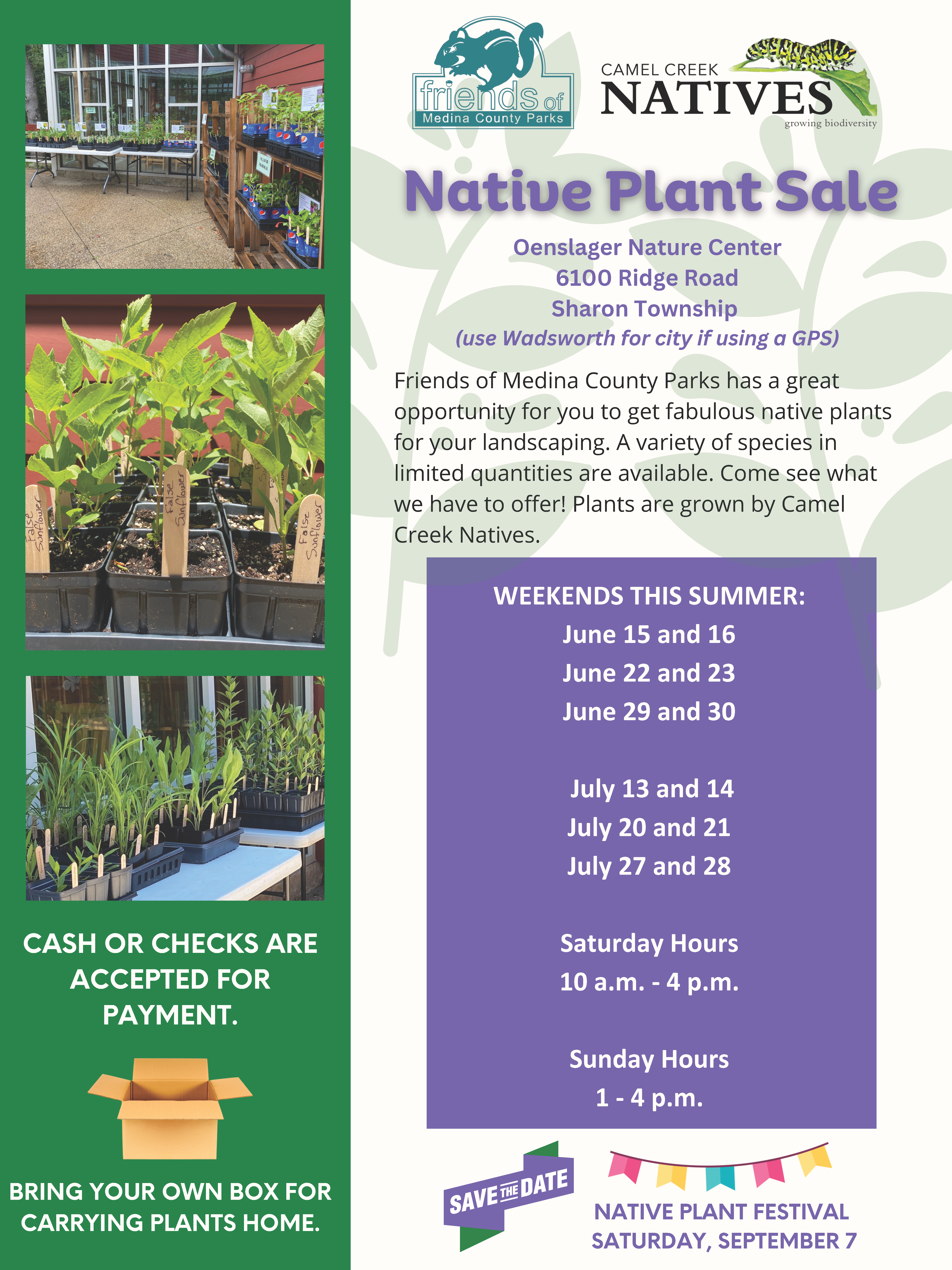 Summer Native Plant Sale