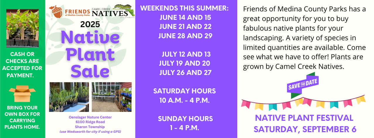 plant sale