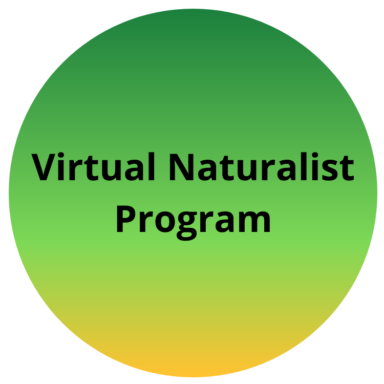 Virtual Naturalist Program