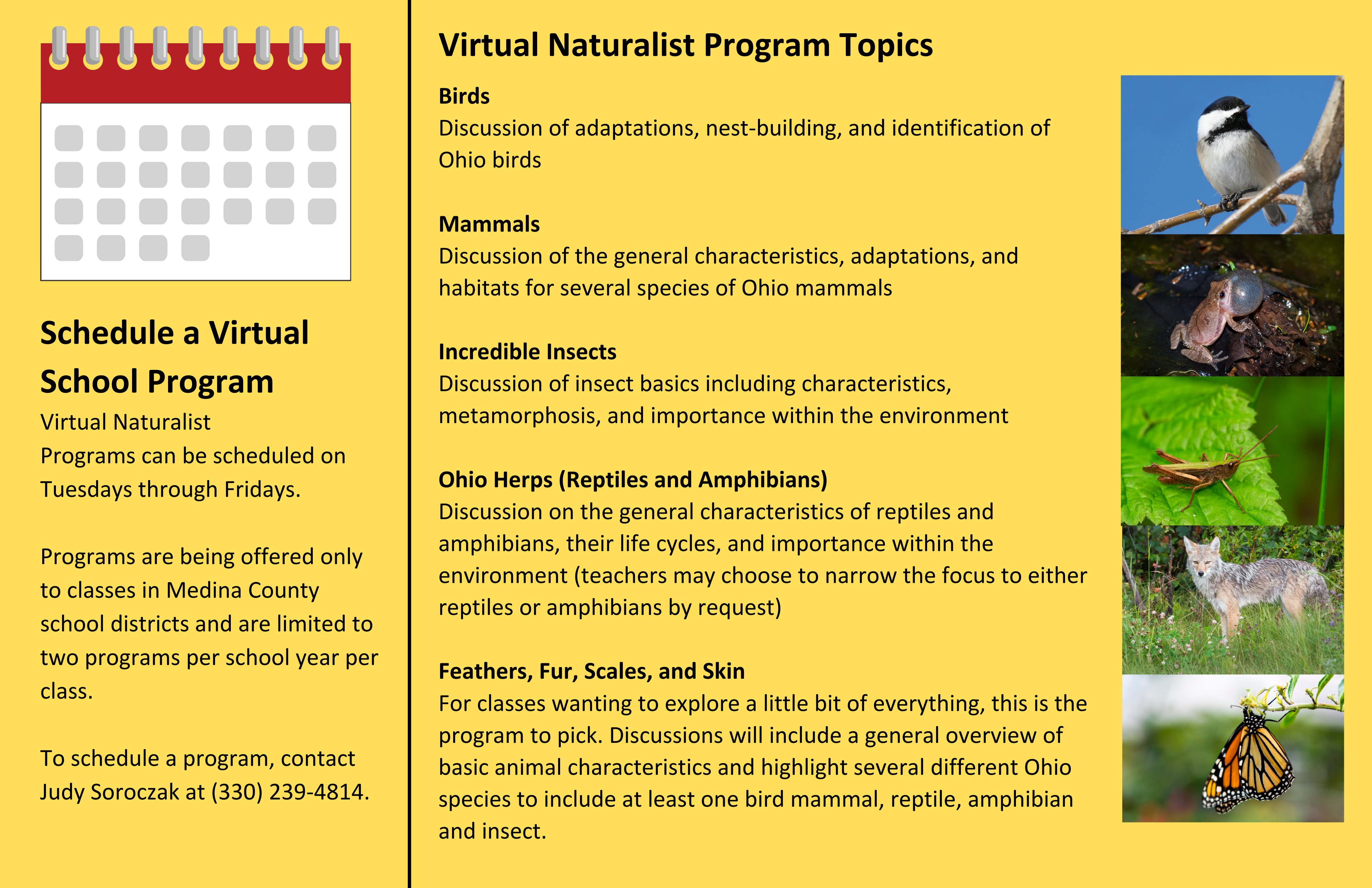 virtual programs1